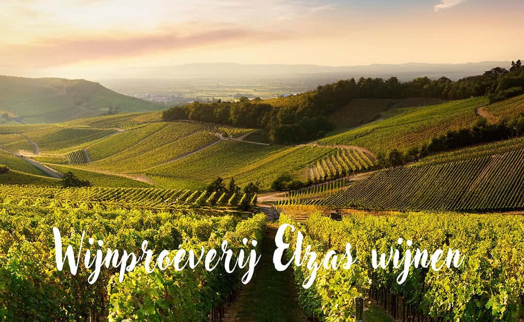 Wijnproeverij in de 3 Krone