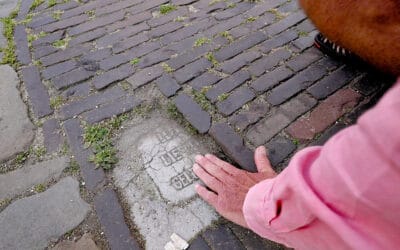 SPREKENDE STENEN en VAART – EEN ODE AAN DE STADSNATUUR