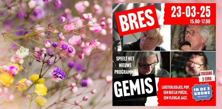 Lente-bloesem-Bres-Gemis-buurtborrel
